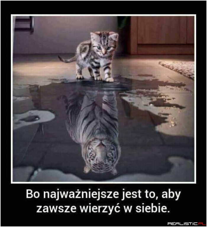 Wiara czyni cuda