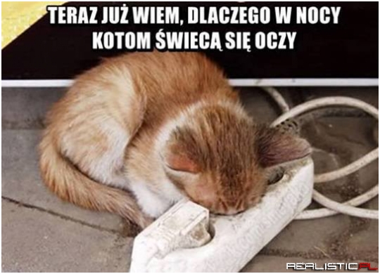 Wszystko jasne