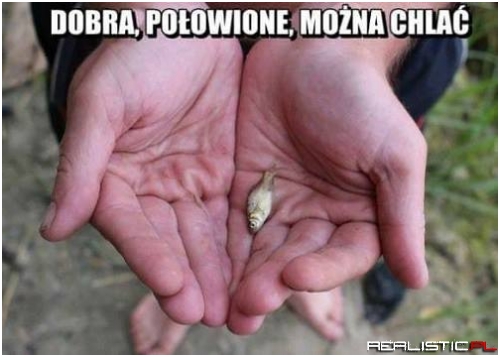 Wypad na rybki