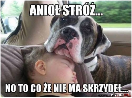 Anioł stróż