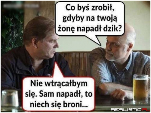 Biedny dzik ;)