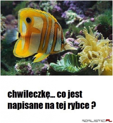 Ciekawe co ma z drugiej strony xD'