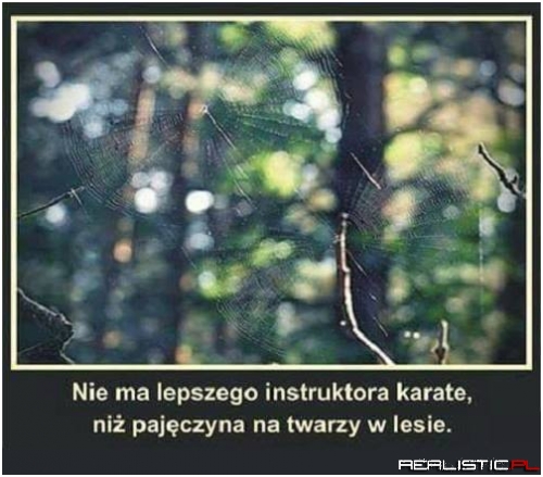 Jakie to prawdziwe!