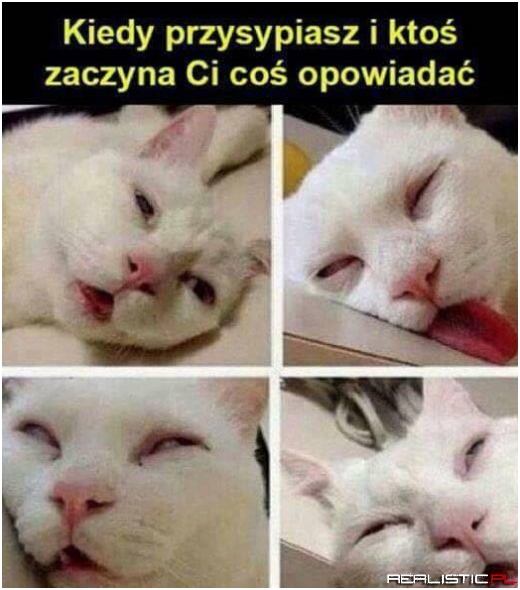 Jest tak