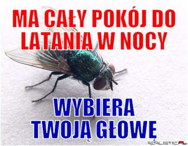 Jest tak!