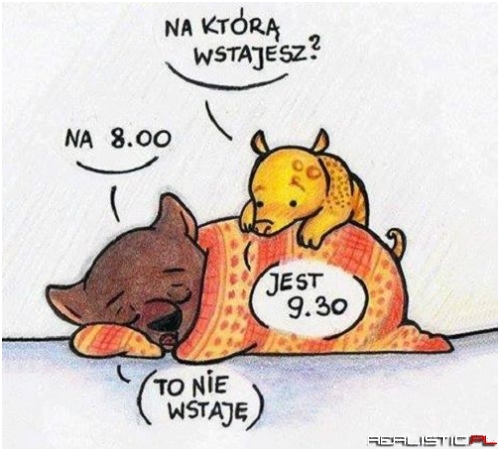 Już się nie opłaca ;)