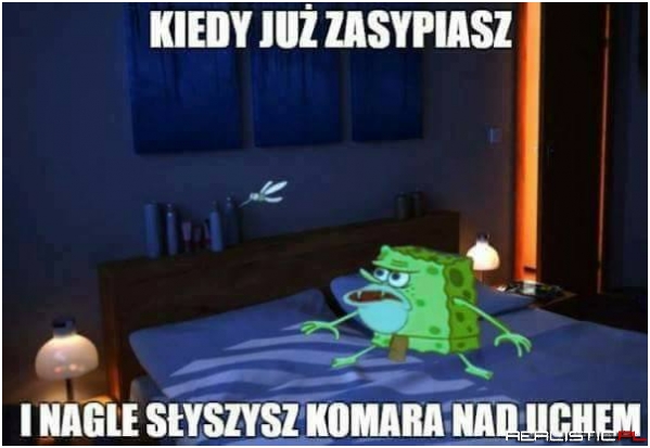 Komar nad uchem