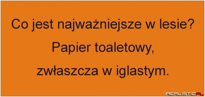 Najważniejsze w lesie...