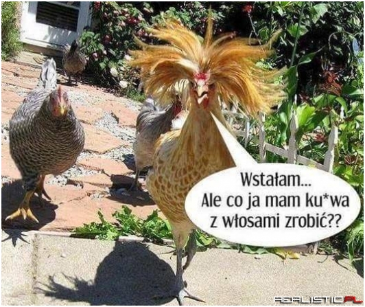 Ogarnij się kobieto ;)