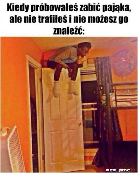 Poszukiwania pająka