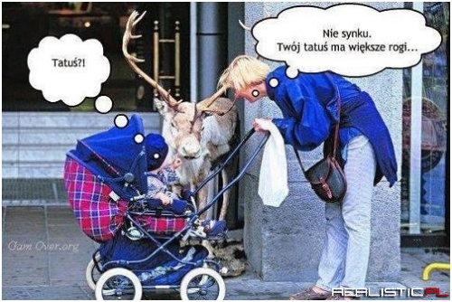 Rogacz...