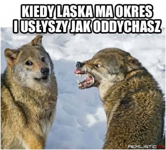 Strach się bać