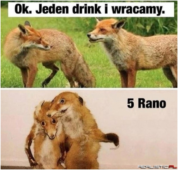 Tak to się zawsze kończy