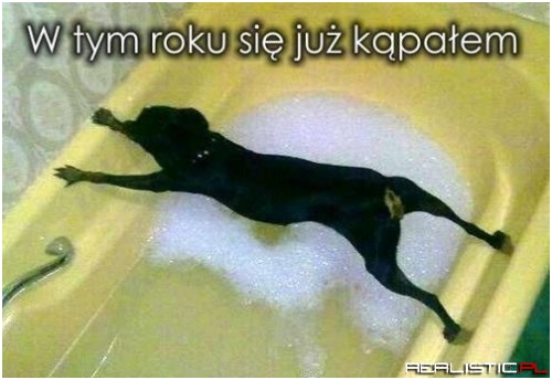 To się chyba nie uda