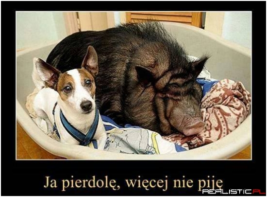 Trzeba przynajmniej ograniczyć ;)