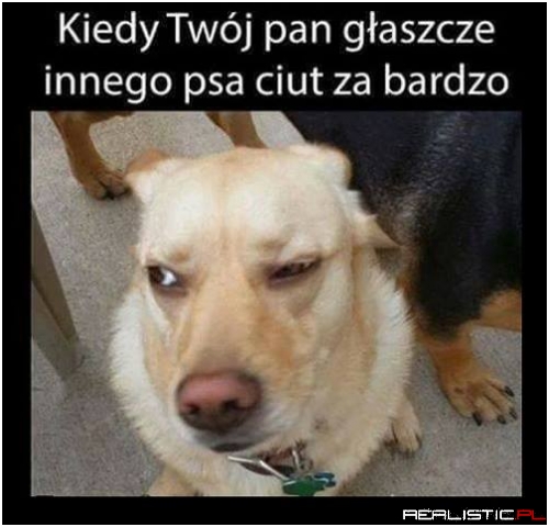 Zazdrośnik!