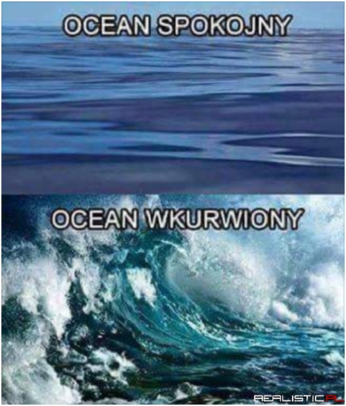 Zgadza się!