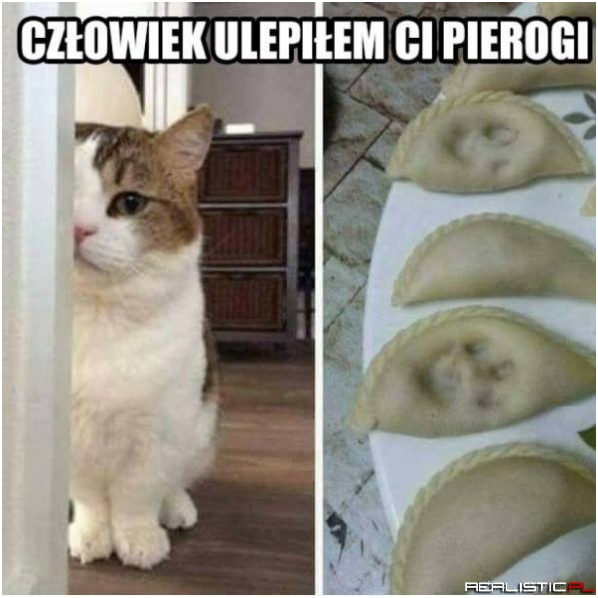 Ciapki łapki fajtłapki