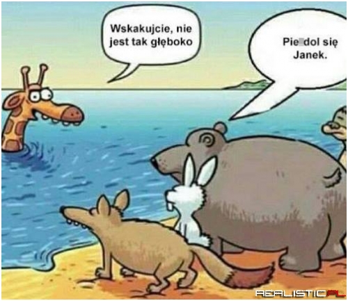 Cwaniak Janek