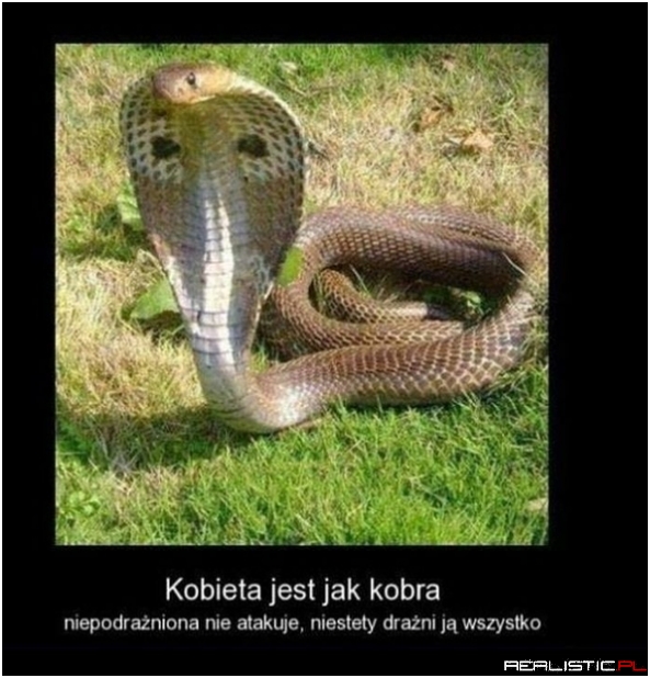 Dokładnie!
