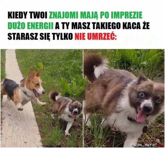Kac morderca