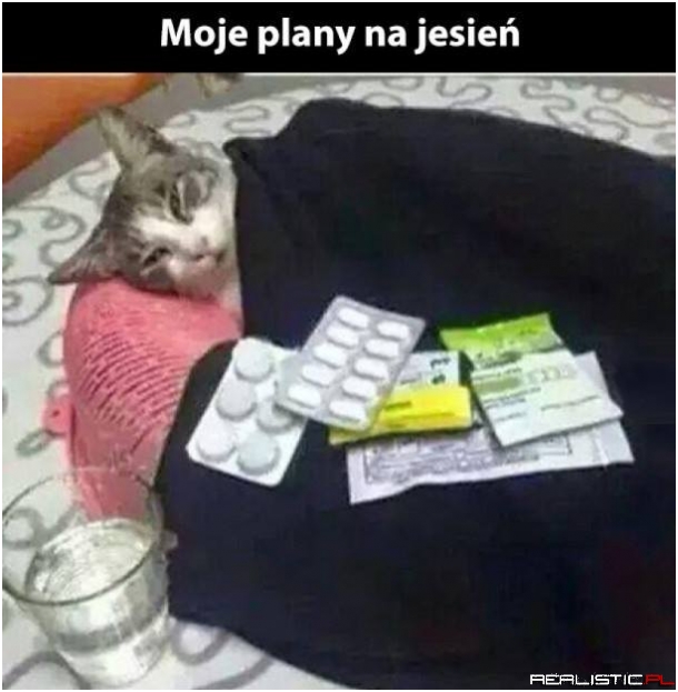 Kocia depresja ;)
