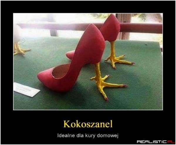 Kokoszanel