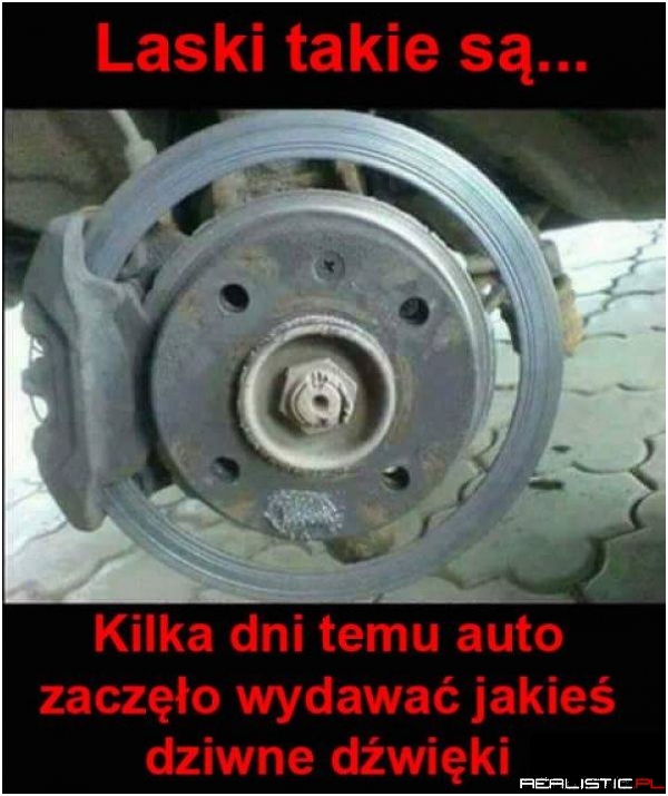 Laski takie są...