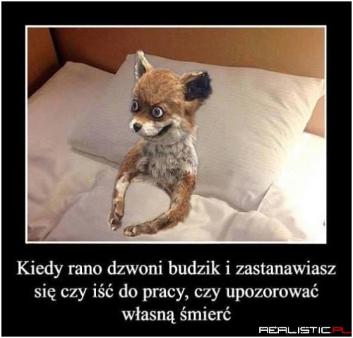 Mam tak codziennie xD