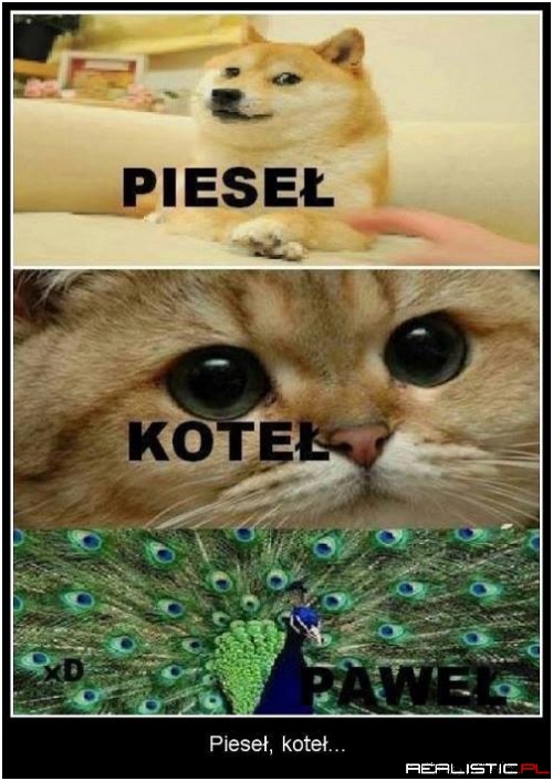 Padłem xD