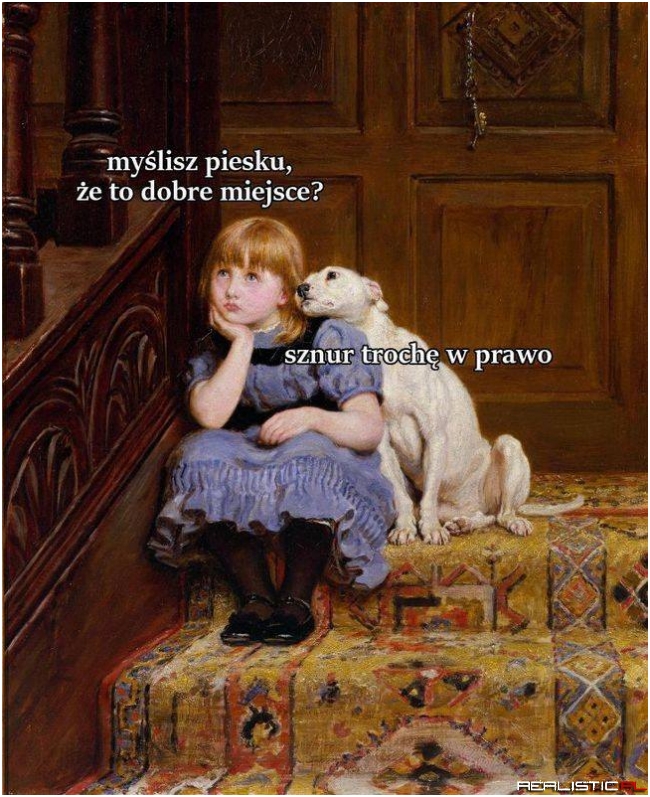 Piesek zawsze pomoże