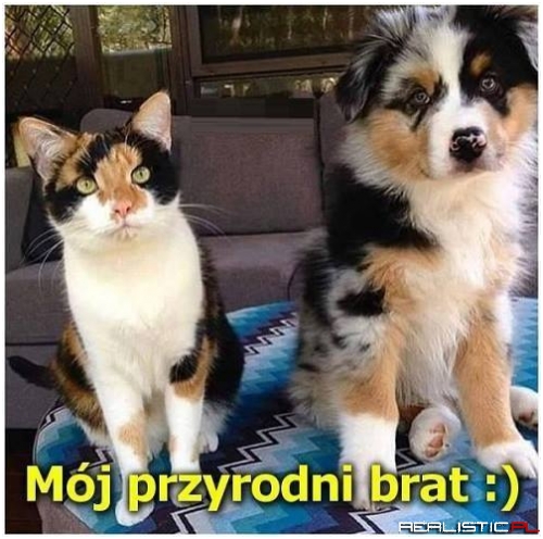 Przyrodni brat ;)