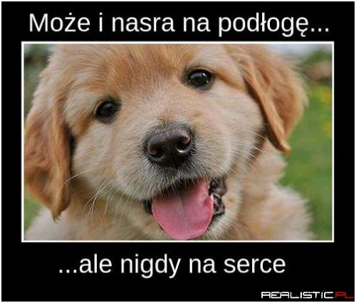 Słodziak