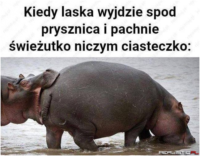 Świeżutkie ciasteczko