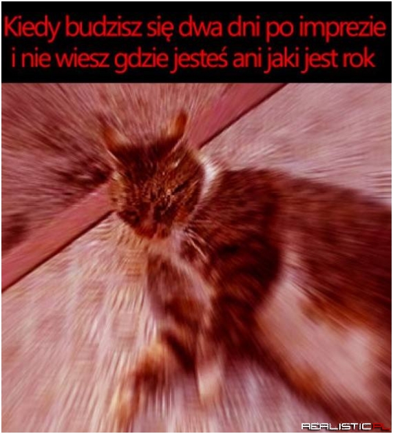 To była imprezka xD