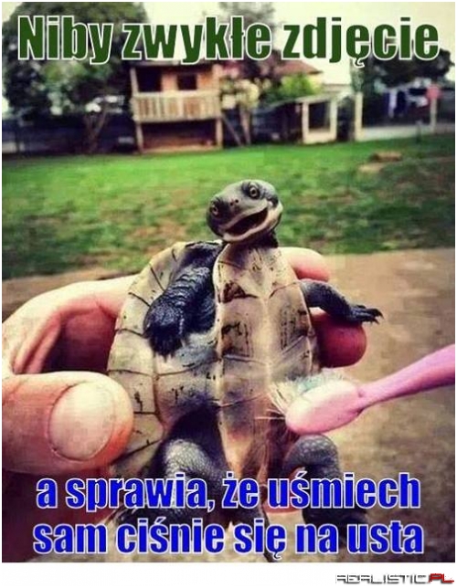 To prawda!