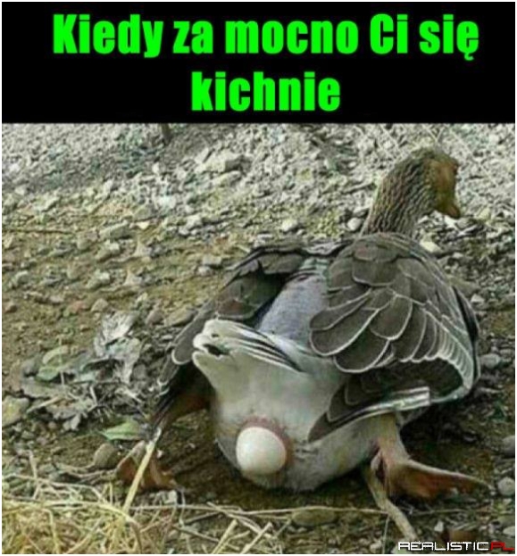 Uważaj jak kichasz ;)
