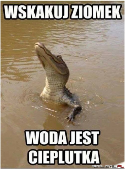 Wskakuj ziomek!