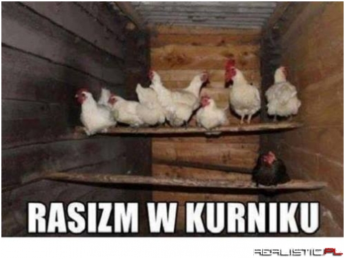 Zna swoje miejsce ;)