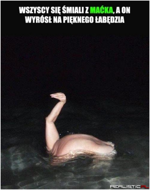 Bądź co bądź to łabądź xD
