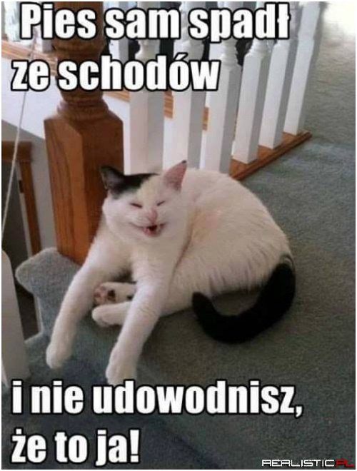Bandyta xD