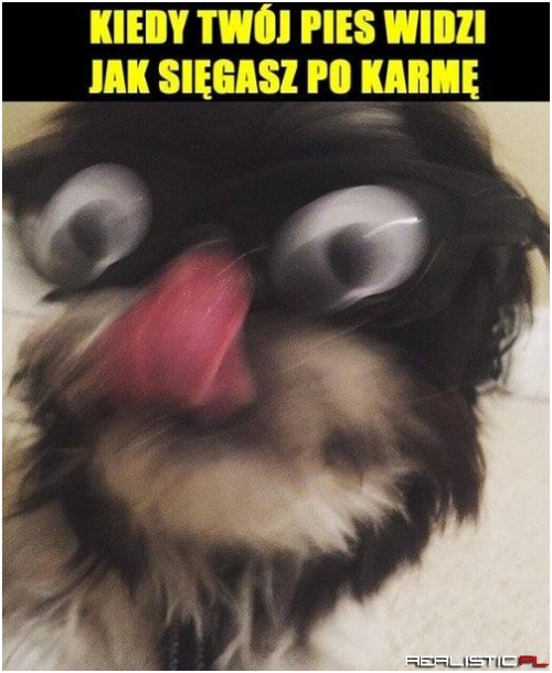 Chyba po uchwyt od lodówki...