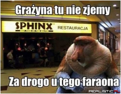 Co ten Faraon xD