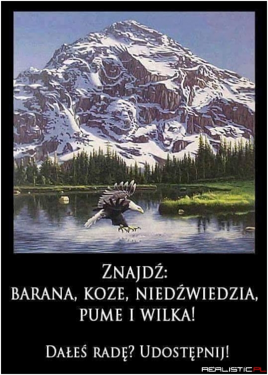 Coś dla wzrokowców ;)
