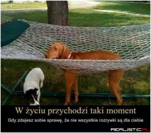 Fakt ;)
