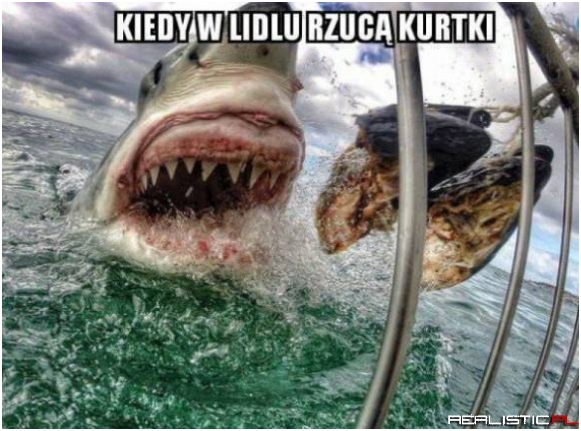 Gdy w Lidlu rzucą cokolwiek