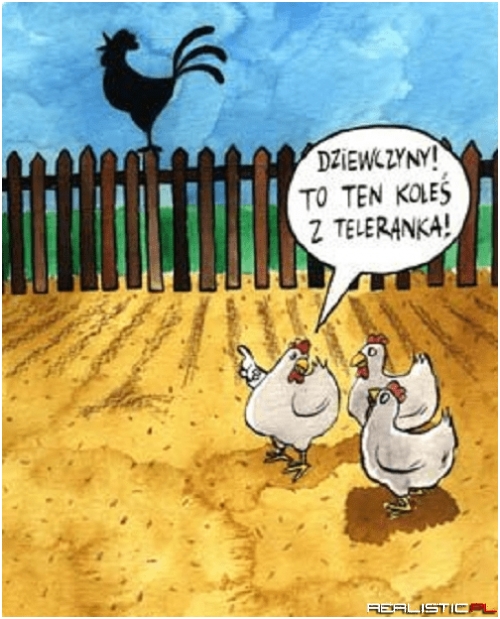 Koleś z teleranka