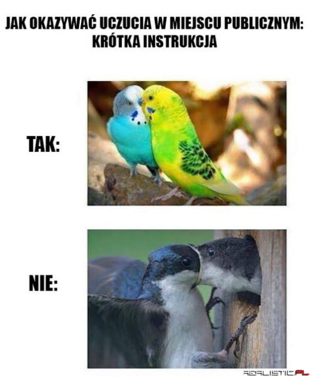 Krótka instrukcja