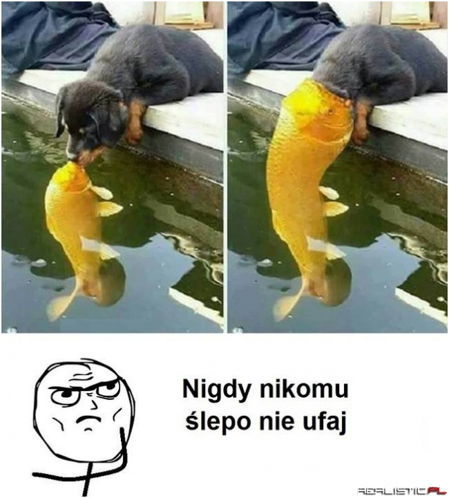 Mistrz photoshopa ;)