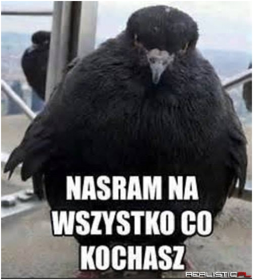 Nie strasz nie strasz xD